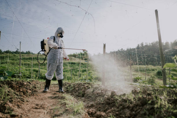 Best Commercial Pest Control Services  in Chesterfield, SC