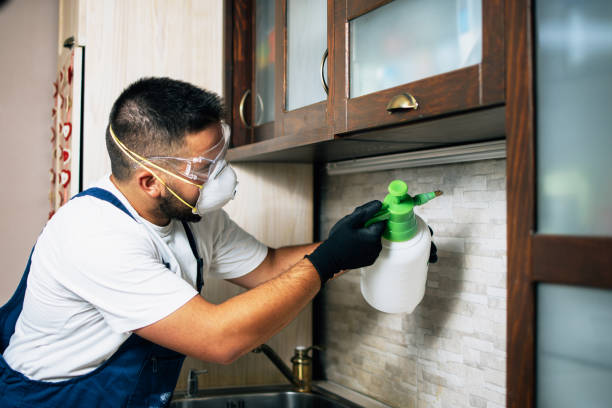 Best Pest Control for Restaurants  in Chesterfield, SC