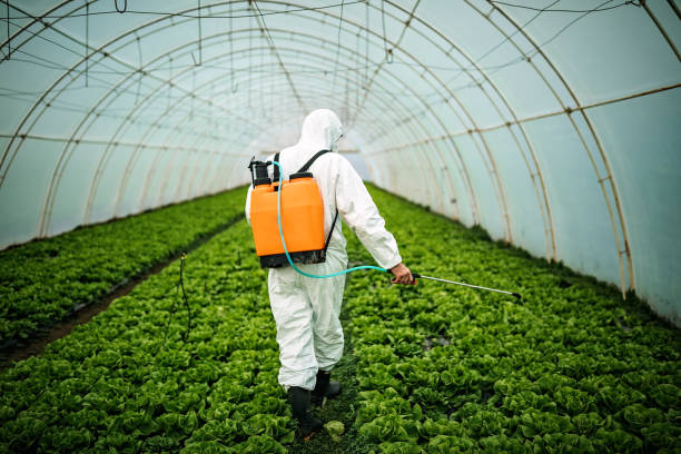 Best Emergency Pest Control  in Chesterfield, SC