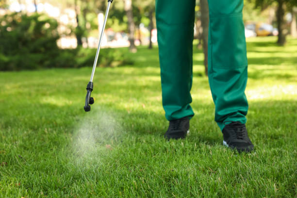 Best Termite Control Services  in Chesterfield, SC