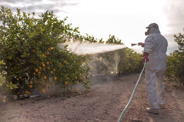Best Affordable Pest Control Services  in Chesterfield, SC