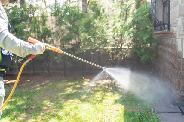 Best Pest Removal Services  in Chesterfield, SC