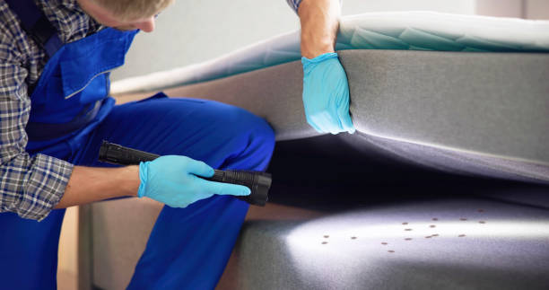 Best Bed Bug Extermination  in Chesterfield, SC