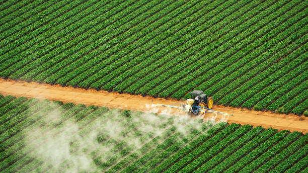 Reliable Chesterfield, SC Pest Control Solutions
