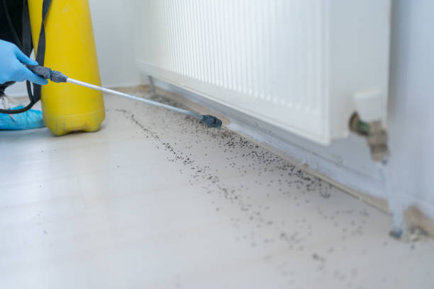 Best Exterminator Services  in Chesterfield, SC