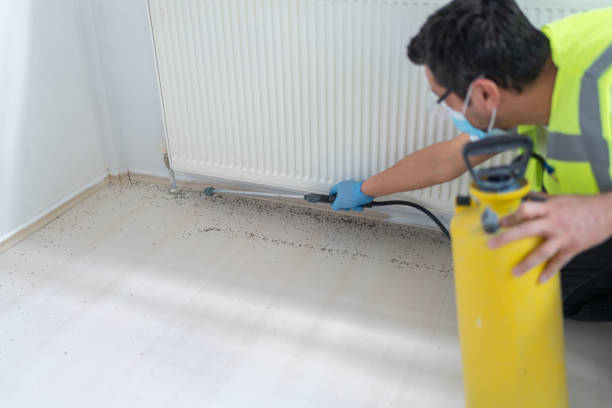Best Mosquito Control Services  in Chesterfield, SC