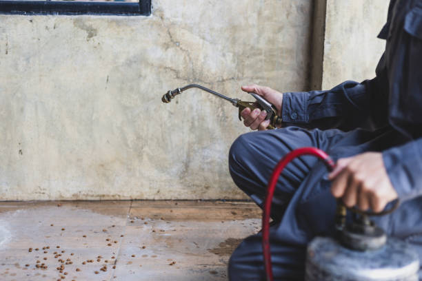 Best Flea Control Services  in Chesterfield, SC